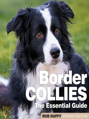 cover image of Border Collies